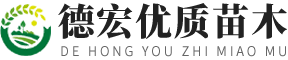 咨询热线