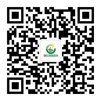 扫码关注服务号